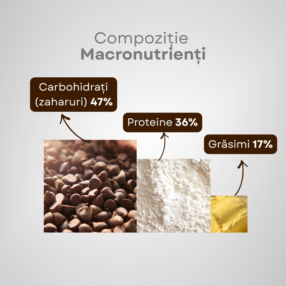 Ciocolată Adozan Chocolate+ cu Mentă (Proteină + Energie) — Cutie 250g (28 buc)